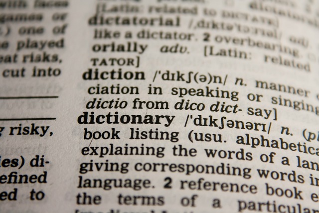 slovník